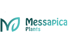 MessapicaPlants-