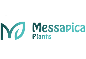 MessapicaPlants-